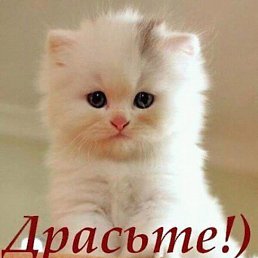 �nvar, �����-���������, 54 ����