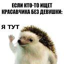���� ������, �����-���������, 38 ��� - ��������� 2 ������ 2018 � ������ ���� ����������