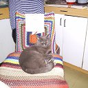  *, --, 50  -  9  2018    