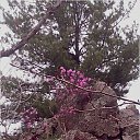 ���� Aleks, ���������, 65 ��� - ��������� 7 ��� 2018 � ������ ���� ����������