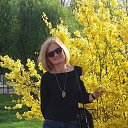 ���� ������, ����� - ��������� 4 ��� 2018 � ������ ���� ����������