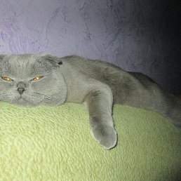  Mihail, -, 51  -  5  2017