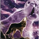 ���� ���������, ����, 31 ��� - ��������� 26 ������� 2018