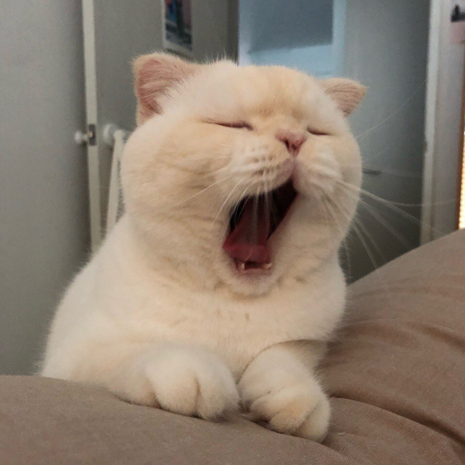   :