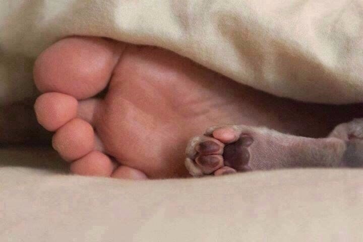   .