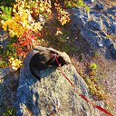 ���� �������, ��������, 47 ��� - ��������� 12 ����� 2018 � ������ �����������