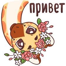 ,  ?    ,   ? Morrrwollo - 2