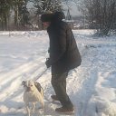  , , 48  -  28  2018   shakawkaw