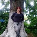 ���� �����, �����������, 53 ���� - ��������� 5 ���� 2018 � ������ ���� ����������