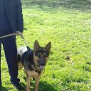 ���� �����, �����������, 49 ��� - ��������� 26 ����� 2018 � ������ ������ ��������