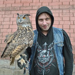 ���� Dima, �����-���������, 49 ��� - ��������� 29 ������ 2017