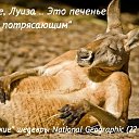���� �����, ������, 56 ��� - ��������� 28 ������ 2018