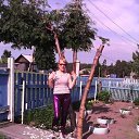 ���� �������, �����������, 67 ��� - ��������� 1 ���� 2018 � ������ ���� ����������