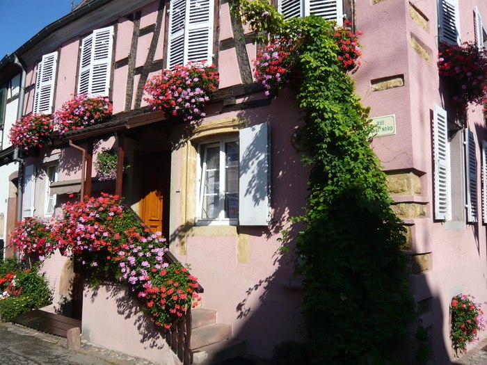   (Eguisheim) -   , .    . ... - 11