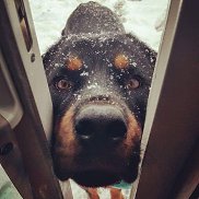 �����, 35 ���, ������