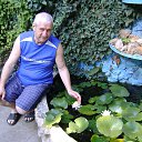 ���� �����, �����-���������, 65 ��� - ��������� 3 ������� 2018 � ������ ���� ����������