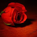  ******,  -  24  2018    