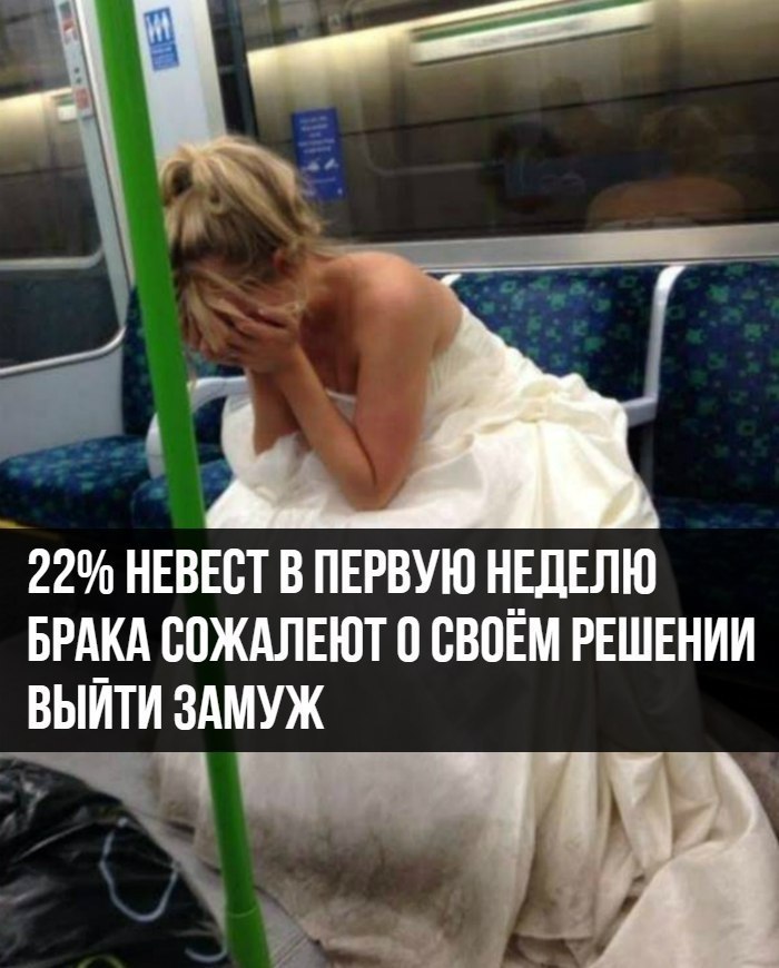  - 7  2017  03:42