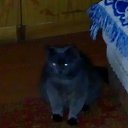  C, , 50  -  20  2018    