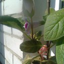 ���� ����, ��������� - ��������� 31 ��� 2018 � ������ ���� �����������