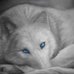 Qwerty, ������, 49 ���