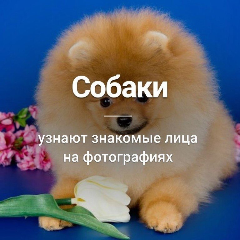   :    - 21  2018  03:06
