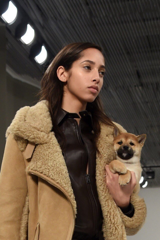   TodS Fall 2018,     . - 4