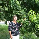 ���� ��������, ����-���������, 53 ���� - ��������� 29 ������� 2017