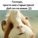 ���� �������, �����-���������, 53 ���� - ��������� 20 ������ 2017 � ������ ������ ��������