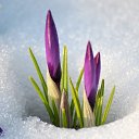���� Millada, ������ - ��������� 16 ������� 2018 � ������ ��������