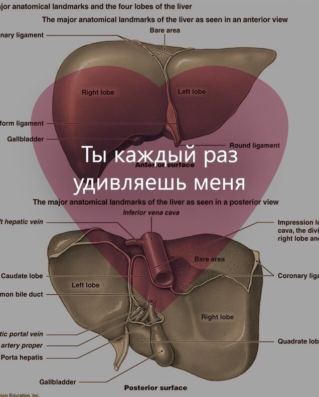 ,          . - 4