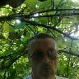 �����, ����, 56 ���