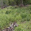 ���� Aleks, ���������, 65 ��� - ��������� 23 ������ 2018 � ������ ���� ����������