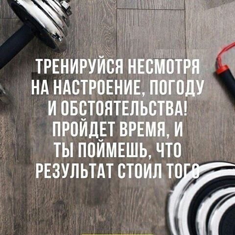 SportFeed - 28  2018  03:44