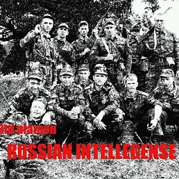 Pantera7777618, ������, 41 ���