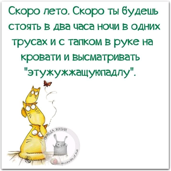 ������� - 8 ��� 2018 � 12:08