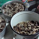 ���� ���������, ������-��-����, 60 ��� - ��������� 5 ������ 2018 � ������ ���� ����������