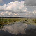  ******, , 53  -  9  2018    