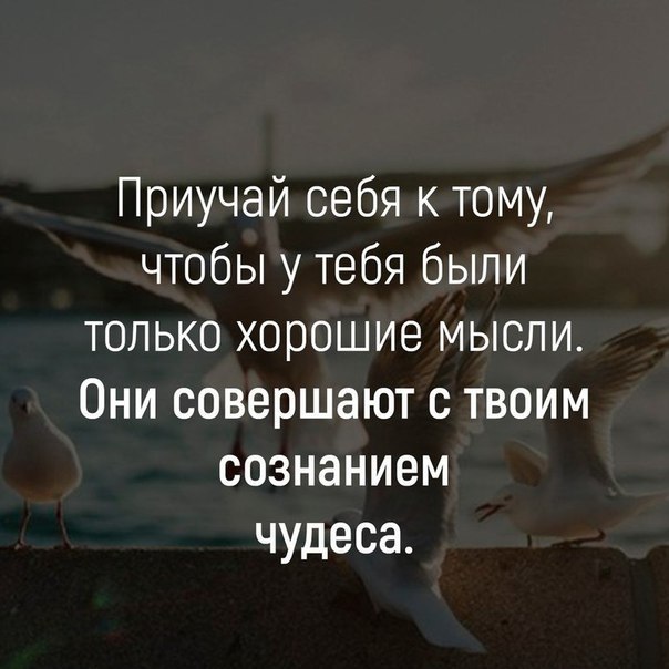     - 5  2018  02:36