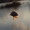 ���� �����, ���������, 58 ��� - ��������� 4 ��� 2018 � ������ ���� ����������