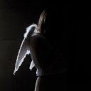  Angel,  -  11  2018    