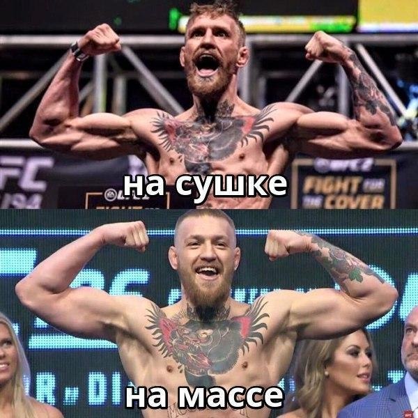  -   - 23  2018  03:43