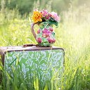 ���� Millada, ������ - ��������� 4 ���� 2018 � ������ ��������