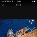  , -, 56  -  16  2018