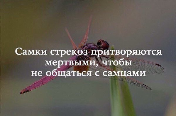   :    - 8  2018  02:32