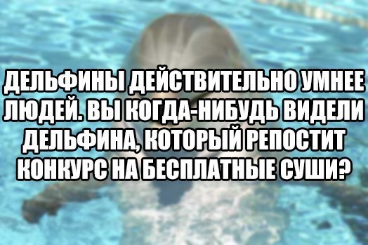   - 5  2018  03:56