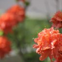  , , 68  -  23  2018    2018