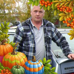 ���� ������, ������-���, 49 ��� - ��������� 29 ����� 2018