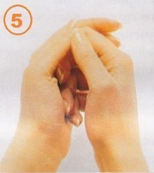  ,      ?      ... - 5