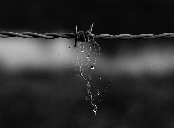 Разница между ложью и правдой в том, что у лжи всегда есть свидетели, а у правды — никогда.